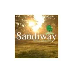 Sandiway Golf